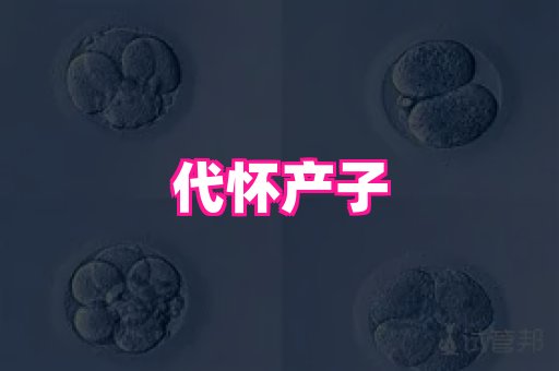 试管助孕网站 3